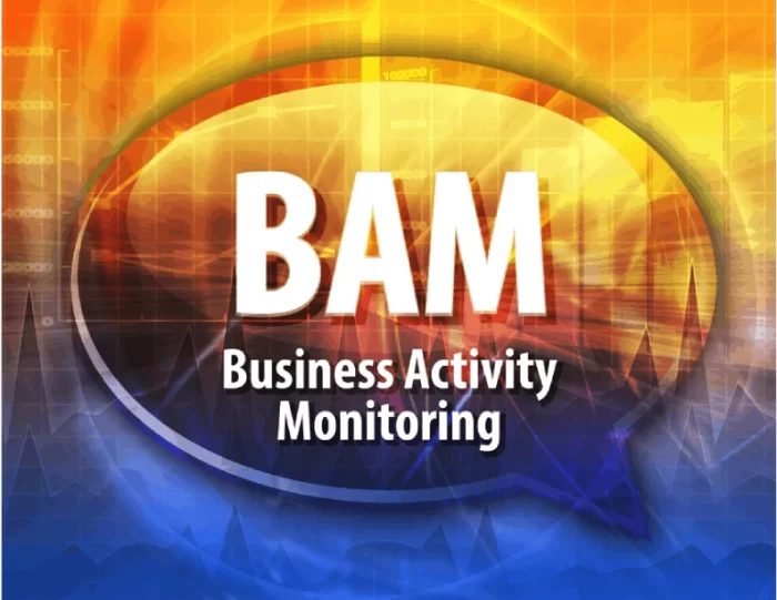BAM (Business Activity Monitoring)