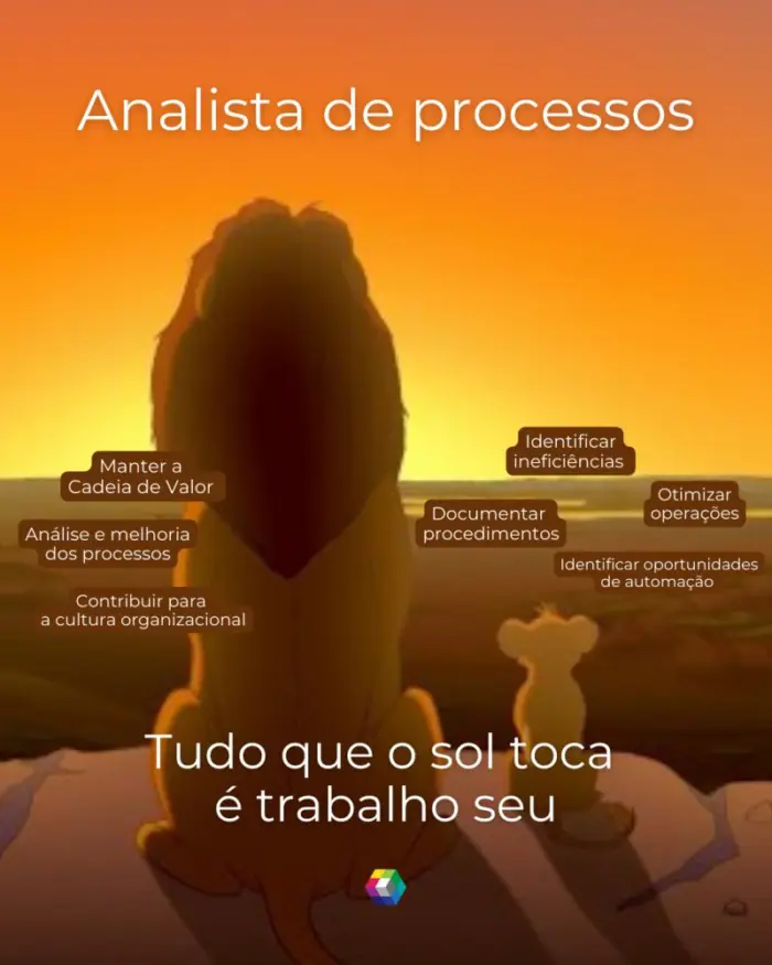 analista de processos